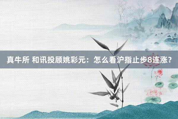 真牛所 和讯投顾姚彩元：怎么看沪指止步8连涨？