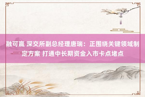 融可赢 深交所副总经理唐瑞：正围绕关键领域制定方案 打通中长期资金入市卡点堵点