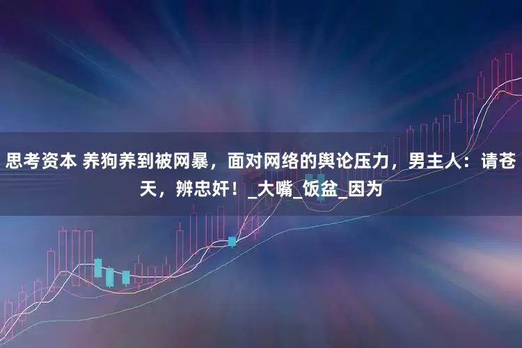 思考资本 养狗养到被网暴，面对网络的舆论压力，男主人：请苍天，辨忠奸！_大嘴_饭盆_因为