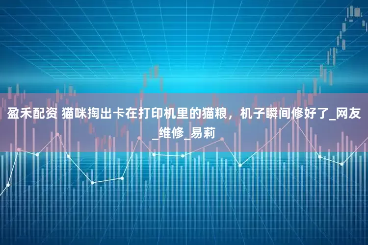 盈禾配资 猫咪掏出卡在打印机里的猫粮，机子瞬间修好了_网友_维修_易莉