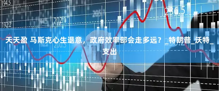 天天盈 马斯克心生退意，政府效率部会走多远？_特朗普_沃特_支出