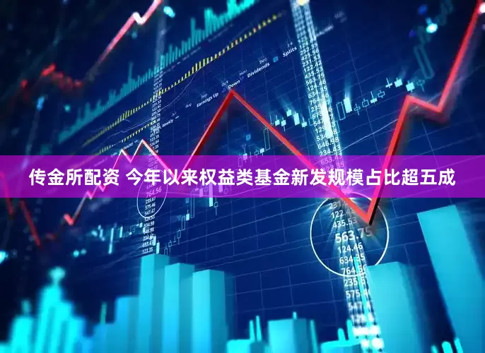 传金所配资 今年以来权益类基金新发规模占比超五成