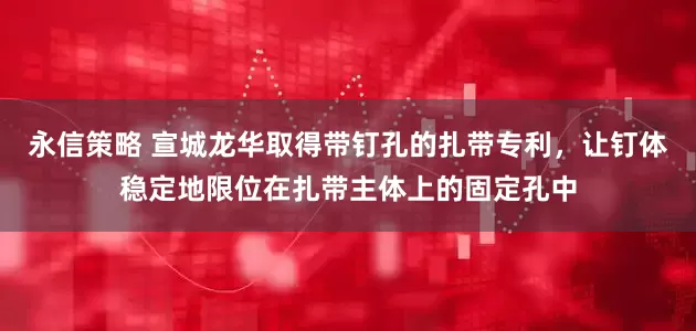 永信策略 宣城龙华取得带钉孔的扎带专利，让钉体稳定地限位在扎带主体上的固定孔中