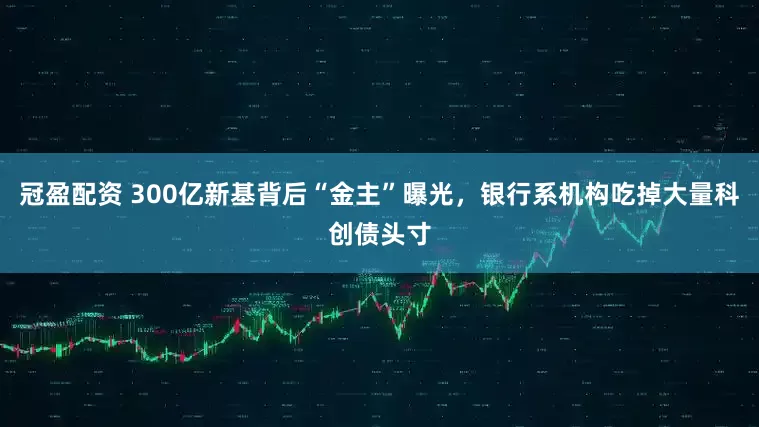 冠盈配资 300亿新基背后“金主”曝光，银行系机构吃掉大量科创债头寸