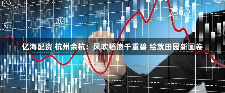 亿海配资 杭州余杭：风吹稻浪千重碧 绘就田园新画卷