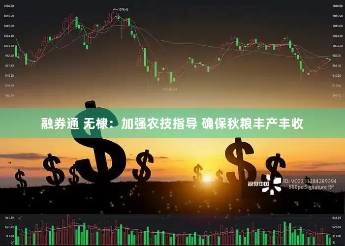 融券通 无棣：加强农技指导 确保秋粮丰产丰收