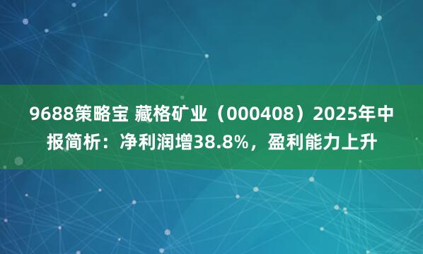 9688策略宝 藏格矿业（000408）2025年中报简析：净利润增38.8%，盈利能力上升